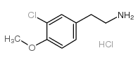 3-氯-4-甲氧基苯乙胺盐酸盐