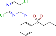 2,5-二氯-N-[2-[(1-甲基乙基)磺酰]苯基]-4-氨基嘧啶
