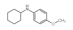 N-環(huán)己基對氨基苯甲醚