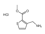 3-氨基甲基-噻吩-2-羧酸甲酯