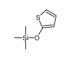 trimethyl(thiophen-2-yloxy)silane