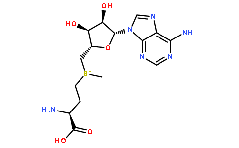 S-腺苷-L-蛋氨酸对甲苯磺酸盐