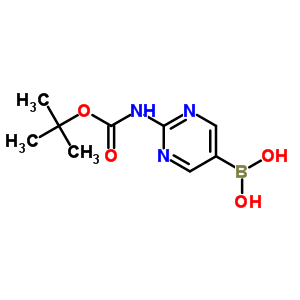 [2-[(叔丁氧羰基)氨基]嘧啶-5-基]硼酸