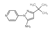 3-(叔丁基)-1-(吡啶-4-基)-1H-吡唑-5-胺