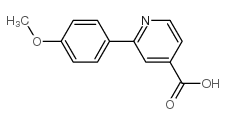 2-(4-甲氧基苯基)異煙酸