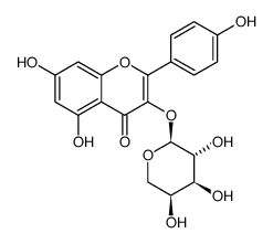 山奈酚-3-O-α-L-吡喃阿拉伯糖苷