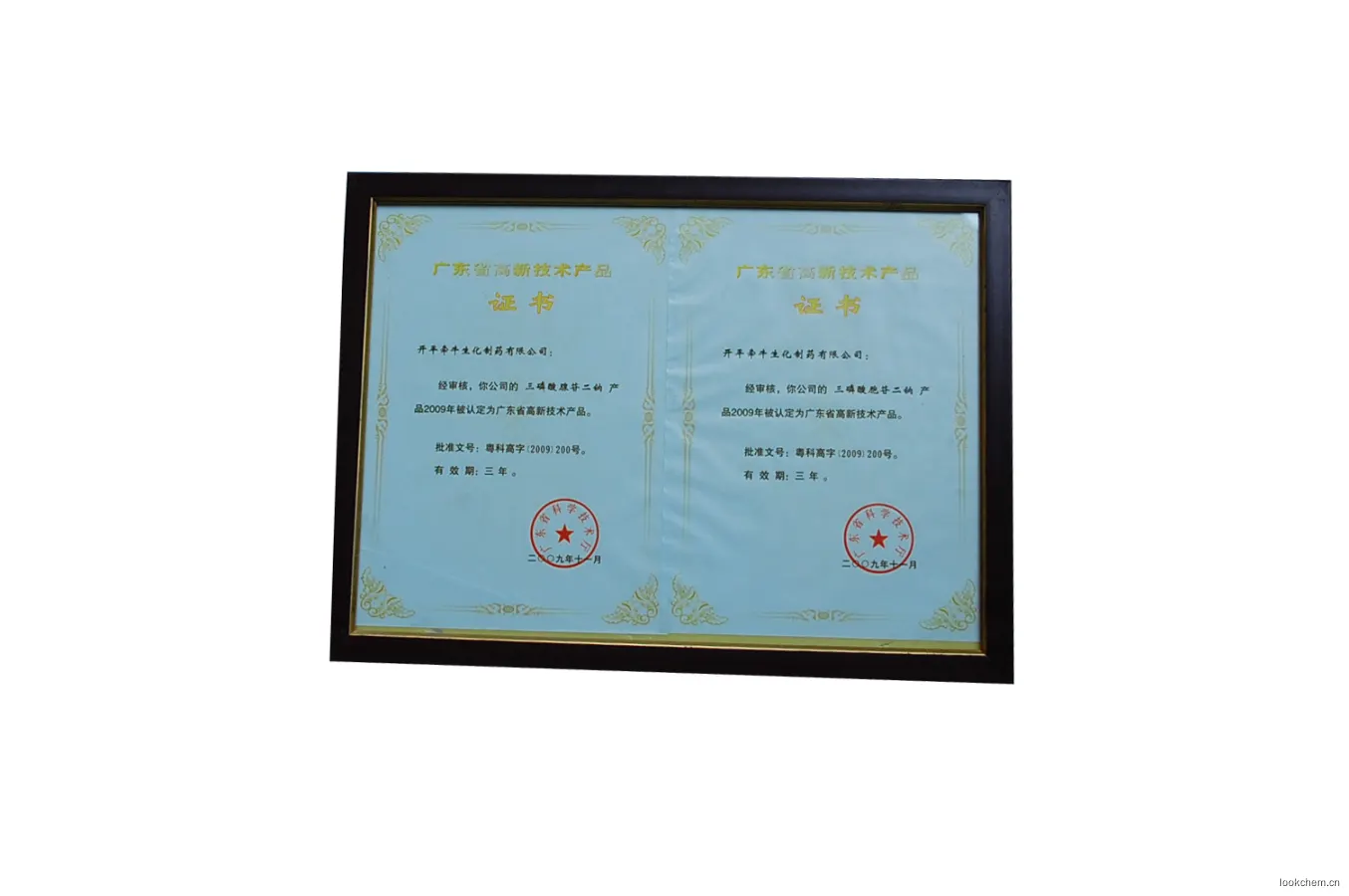 广东省高新技术产品