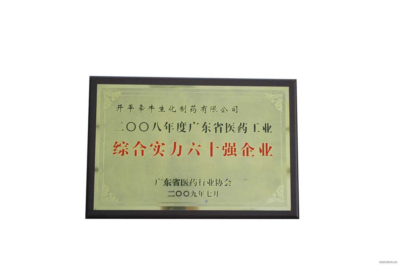 广东省医药工业综合实力六十强企业