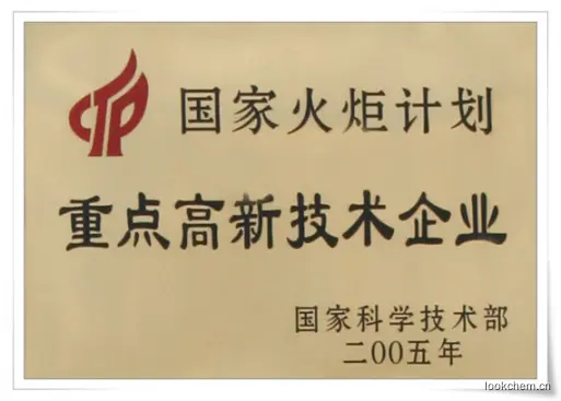 国际火炬计划
