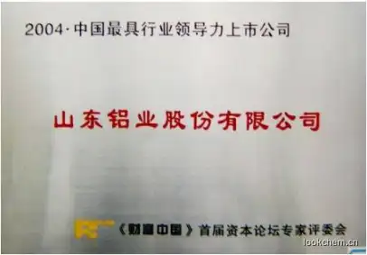2004年中国最具行业领导力上市公司