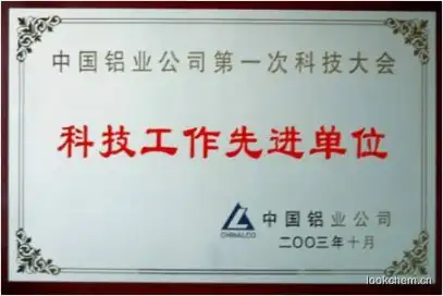 中国铝业公司第一次科技大会科技工作先进单位