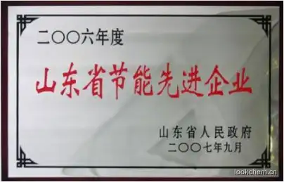 2006年度山东省节能先进企业