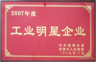 2007年度工业明星企业