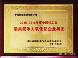 中国铝业股份有限公司2015-2016年度中国铝工业最具竞争力氧化铝企业集团