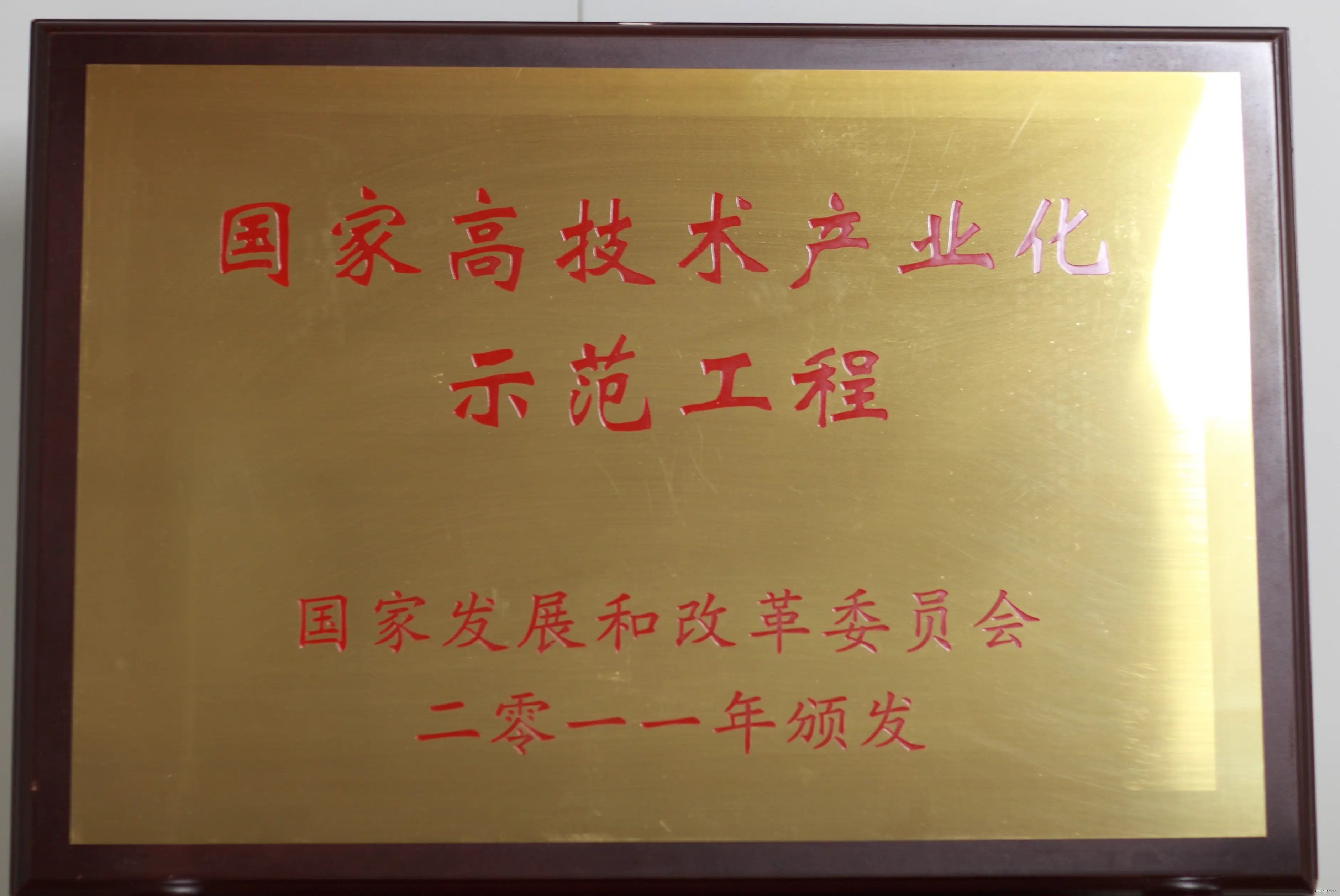 高技术示范工程证书