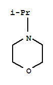 4-异丙基吗啉