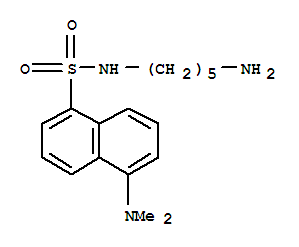 N-(5-氨基戊基)-5-(二甲基氨基)萘-1-磺酰胺