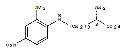 (2S)-2-氨基-5-[(2,4-二硝基苯基)氨基]戊酸