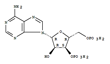 3',5'-二磷酸腺苷