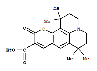 香豆素 504T