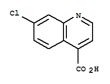 7-氯喹啉-4-羧酸