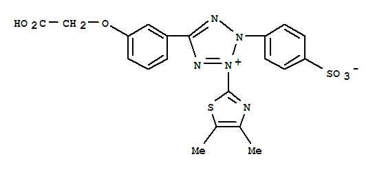 甲基纤维素