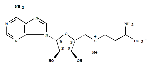 S-腺甙甲硫氨酸对甲苯磺酸盐