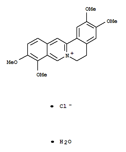 盐酸巴马丁