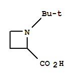1-叔丁基-2-氮杂丁烷羧酸
