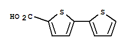 2,2-联噻吩-5-羧酸