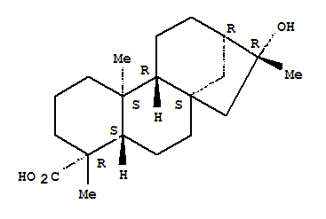 16-羟基贝壳杉-19-酸