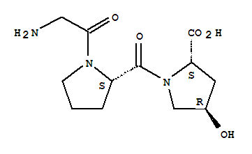 甘氨酸-脯氨酸-羟脯氨酸