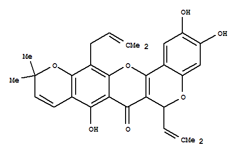 异叶波罗蜜环黄酮素