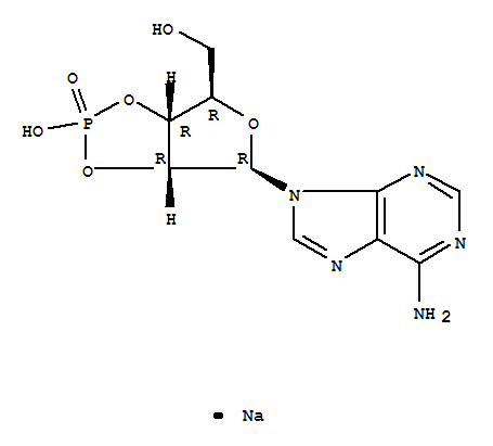 腺苷-2'',3'' -环状磷酸钠