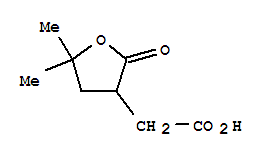 (5,5-二甲基-2-氧代四氢呋喃-3-基)-乙酸