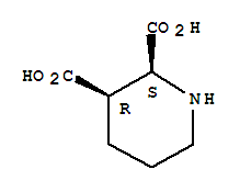 哌啶-2,3-二羧酸