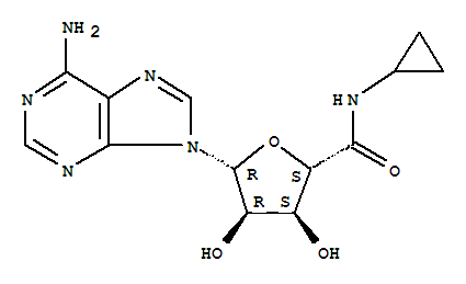 5-(N-环丙基)酰胺酰酐