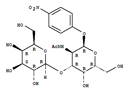 对硝基苯-T抗原