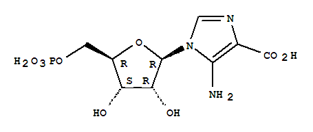 羧基氨基咪唑核苷酸