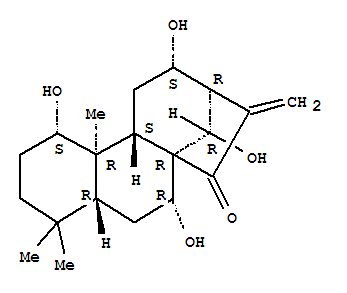尾叶香茶菜素 A