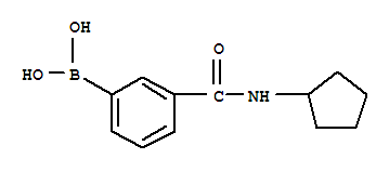3-(环戊基氨甲酰基)苯硼酸