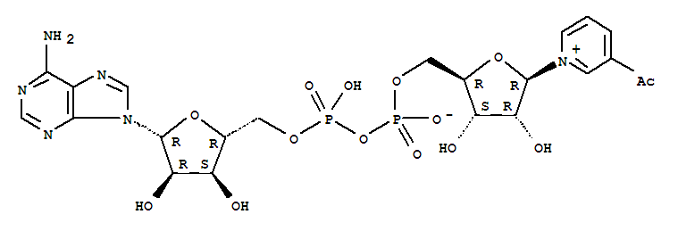 3-乙酰吡啶腺嘌呤二核苷酸