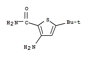 3-氨基-5-叔丁基噻吩-2-甲酰胺
