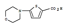 5-吗啉噻吩-2-羧酸