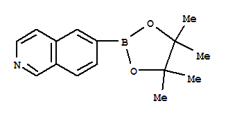 异喹啉-6-硼酸频哪醇酯95％