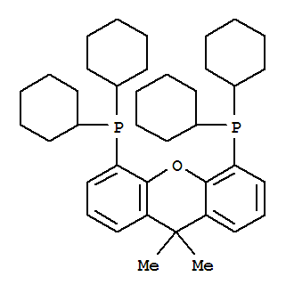 4,5-双(二环己基膦)-二苯并吡喃衍生物