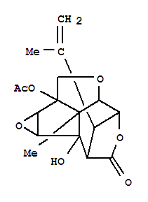 13-O-乙酰基马桑宁