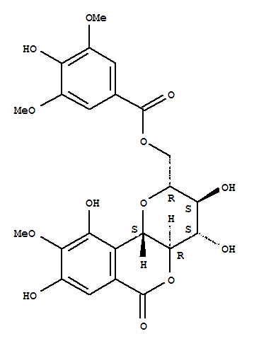 11-O-丁香酰基岩白菜素