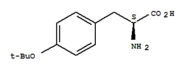 O-叔丁基-L-酪氨酸