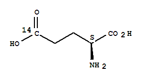 L-谷氨酸 [5-14C]